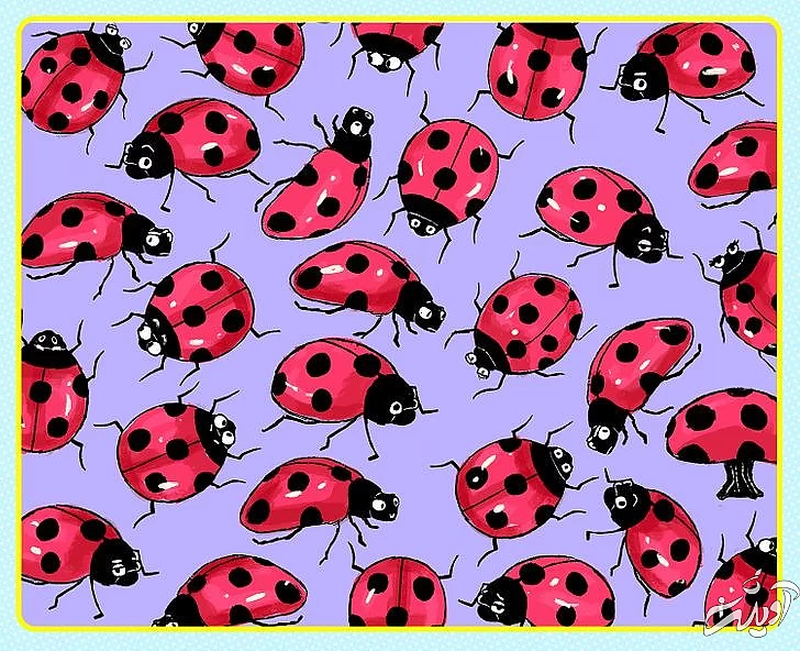 چند معمای تصویری برای آنهایی که توجه و دقت زیادی دارند